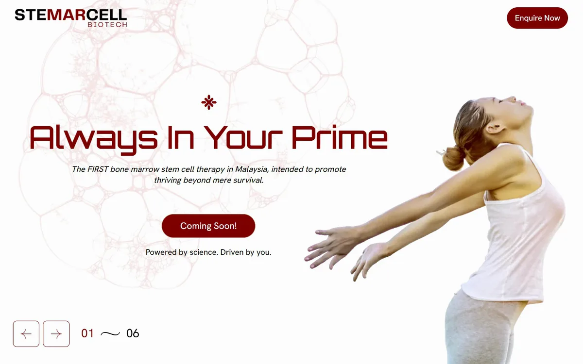 Stemarcell — homepage on desktop